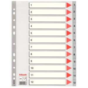 Divisori per rubrica Esselte A4 PPL numerica 1-12 100106