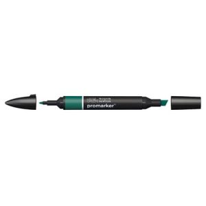 Pennarelli Winsor&Newton Promarker doppia punta fine-larga - holly G724 - 0203243