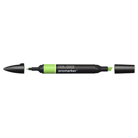 Pennarelli Winsor&Newton Promarker doppia punta fine-larga - leaf green G258 - 0203341