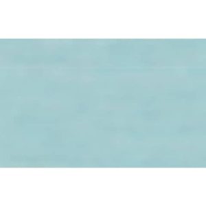 Carta velina Rex-Sadoch 50x70 cm conf. da 26 fogli celeste KV106360