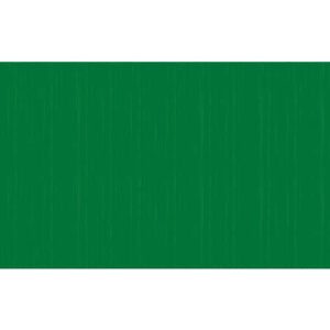 Carta crespa colorata Rex-Sadoch in rotolo 50x250 cm verde primario KR363470
