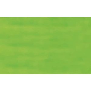 Carta velina Rex-Sadoch 50x70 cm conf. da 26 fogli verde chiaro KV106371