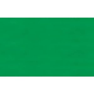 Carta velina Rex-Sadoch 50x70 cm conf. da 26 fogli verde prato KV106472
