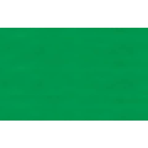 Carta velina Rex-Sadoch 50x70 cm conf. da 26 fogli verde prato KV106472