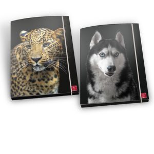 Cartella a 3 lembi con elastico Pigna Animal - A4 30x22x5 cm fantasie assortite - 02330283L
