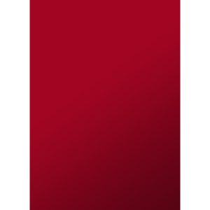 Copertine per la rilegatura Sei Rota Video ROC formato A4 colore rosso conf. 100 pezzi - 52142812