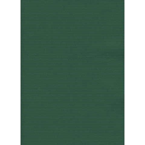 Carta regalo in fogli Rex-Sadoch formato 70x100 cm - conf. 10 pezzi - verde - 163 -12