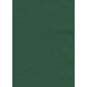 Carta regalo in fogli Rex-Sadoch formato 140x100 cm - conf. 10 pezzi - verde - 190BIS -16