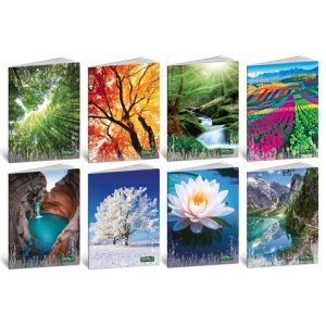 Maxi quaderno Blasetti Quadecò formato A4  carta 80 g conf. 10 pezzi rigatura 5 mm - 4771