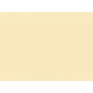 Tovagliette monouso Le Nappage in carta paglia 30x40 cm crema - conf. 500 pz - EYTVT1130