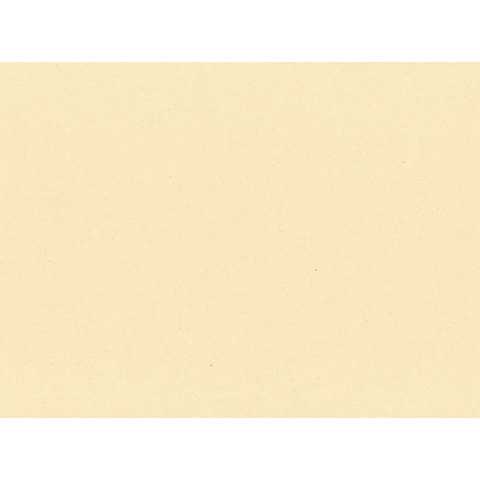 Tovagliette monouso Le Nappage in carta paglia 30x40 cm crema - conf. 500 pz - EYTVT1130