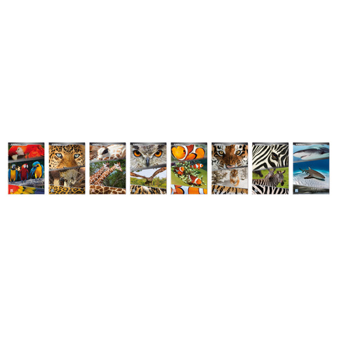 Maxi quaderno Blasetti Animali A4 18+1 ff carta 100 g/m² - conf. 10 pz - rigatura 4 mm - 5893