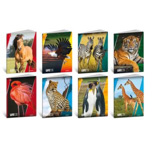 Maxi quaderno Blasetti Life A4 18+1 ff carta 100 g/m² conf. 10 pz - rigatura 5 mm - 7479