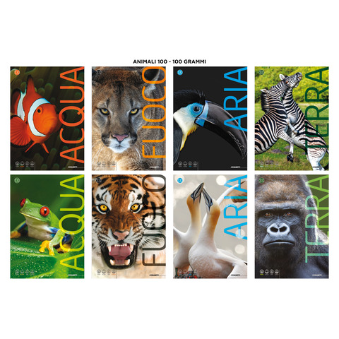 Maxi quaderno Blasetti Animali A4 100 g/m² - conf. 10 pz - 10M 7862