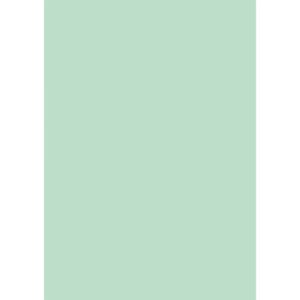 Cartellina semplice Brefiocart Color 24,5x35 cm cellulosa 200 g/m² verde menta chiaro - conf. 50 pz - 0205510.VC