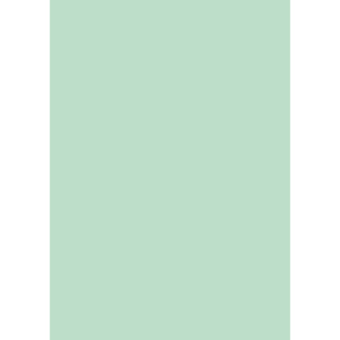Cartellina semplice Brefiocart Color 24,5x35 cm cellulosa 200 g/m² verde menta chiaro - conf. 50 pz - 0205510.VC