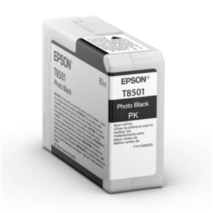 Cartuccia inkjet Epson nero fotografico C13T850100