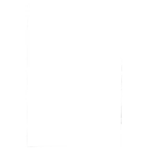 Pouches per plastificatrici Fellowes Standard Capture125 finitura lucida - 2x125 µm - A2 - Conf. 50 pz - 5309302