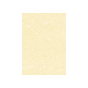 Carta pergamenata Decadry Linea Corporate A4 165 g/m² champagne Conf. 50 fogli - T105077