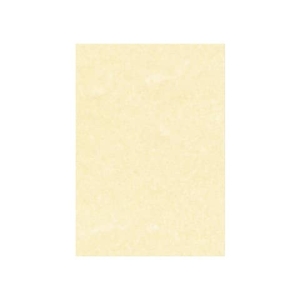Carta pergamenata Decadry Linea Corporate A3 champagne 165 g/m² Conf. 25 fogli - T105027