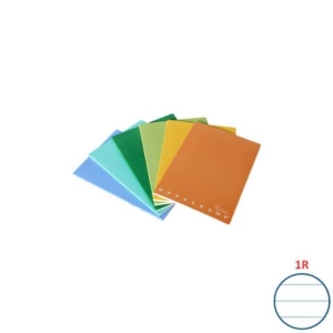 Quaderno Pigna Maxi Monocromo Green 42 ff 80 gr - A4 rigatura 1R - copertine assortite - conf. 10 pezzi - 02309781R