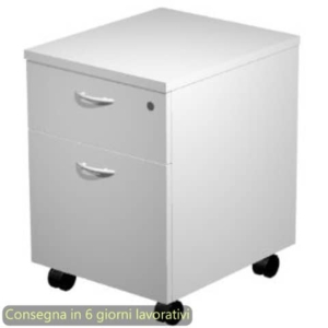 Cassettiera 1 cassetto+ 1 classificatore 41,8x52xH.59,5 cm con ruote montata Presto Artexport grigio - 60020/9