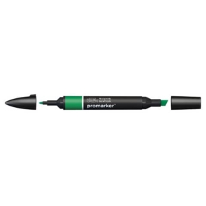 Pennarelli Winsor&Newton Promarker doppia punta fine-larga - lush green G756 - 0203228