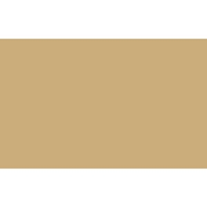 Carta velina Rex-Sadoch 50x70 cm conf. da 26 fogli avana KV106204