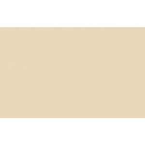 Carta velina Rex-Sadoch 50x70 cm conf. da 26 fogli crema KV106200