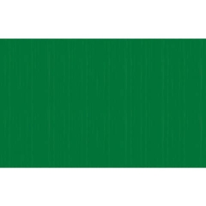 Carta crespa colorata Rex-Sadoch in rotolo 50x250 cm verde primario KR363470