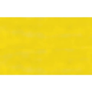 Carta velina Rex-Sadoch 50x70 cm conf. da 26 fogli giallo KV106410