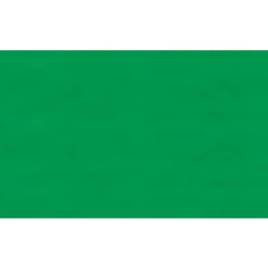 Carta velina Rex-Sadoch 50x70 cm conf. da 26 fogli verde prato KV106472