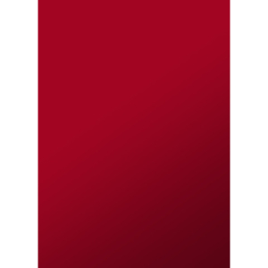 Copertine per la rilegatura Sei Rota Video ROC formato A4 colore rosso conf. 100 pezzi - 52142812