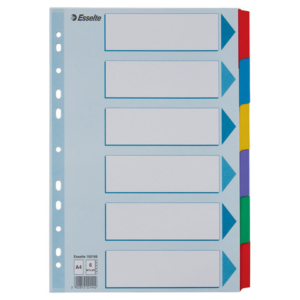 Divisori intercalari Esslete Mylar A4 - conf. 20 ff da 6 tasti colorati cad. - 100168