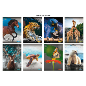 Maxi quaderni Blasetti Animali A4 20+1 ff carta 80 g/m² - conf. 10 pezzi - rigatura A - 8944