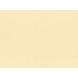 Tovagliette monouso Le Nappage in carta paglia 30x40 cm crema - conf. 500 pz - EYTVT1130