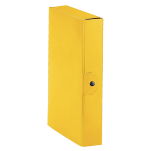 Cartella portaprogetti Esselte C86 DELSO ORDER dorso 6 cm presspan lucido giallo 25x35 cm - 390386090