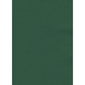 Carta regalo in fogli Rex-Sadoch formato 70x100 cm - conf. 10 pezzi - verde - 75510560