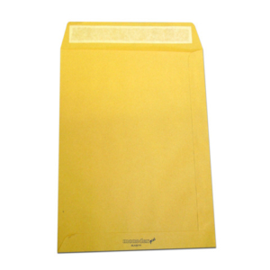 Buste a sacco Blasetti Monodex Avana in carta kraft 120 g/m² - 30x40 cm - conf. 500 pz - FB0833
