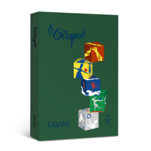 Carta colorata Favini Le Cirque A4 160 g/m² verde bosco 304 - risma da 250 fogli - A74D334