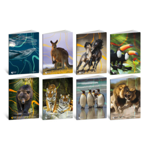 Maxi quaderno Blasetti Animal Cut A4 - 80 g/m² - 20+1 ff - 4M - conf. 10 pezzi - 9237