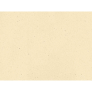 Tovaglietta Ristocart in carta paglia neutra tinta in massa 30x40 cm conf. 250 pz verde - WRTVT1138