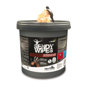 Salviettine umidificate extra forti senza risciacquo Nettuno Sendy Wipes conf.100pz 26x27 cm - 813